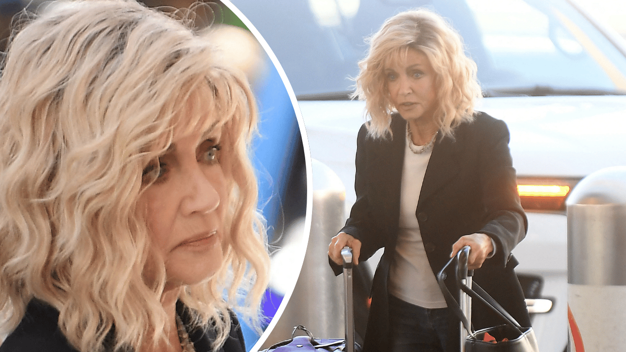 image of donna mills