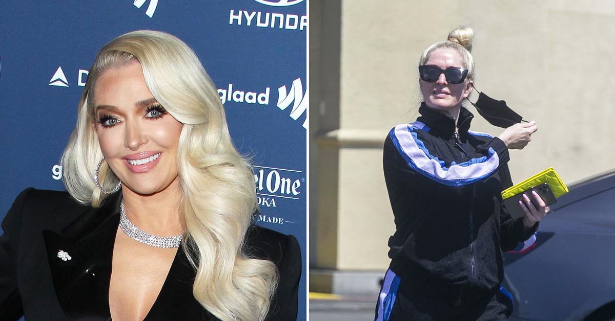 Erika Jayne Burbank January 24, 2021 – Star Style