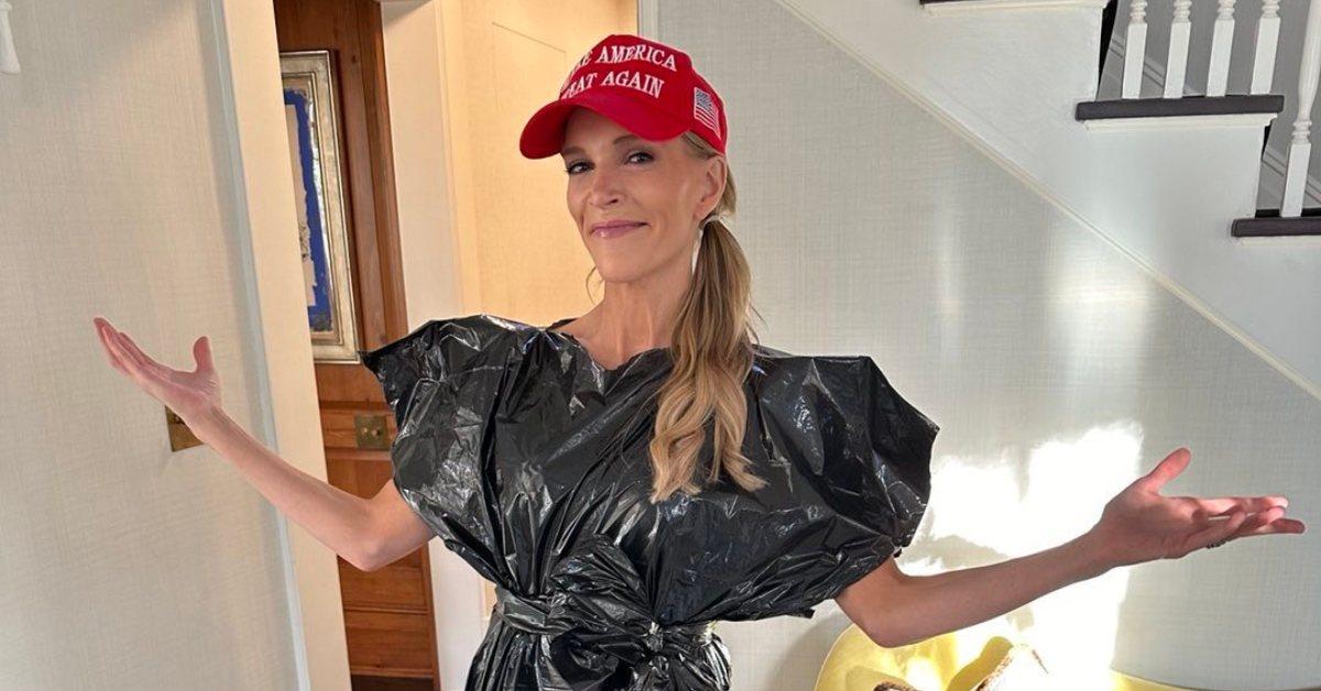 Photo of Megyn Kelly wearing a trash bag.