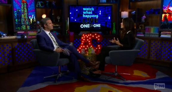 Bethenny frankel wwhl jason hoppy divorce 03