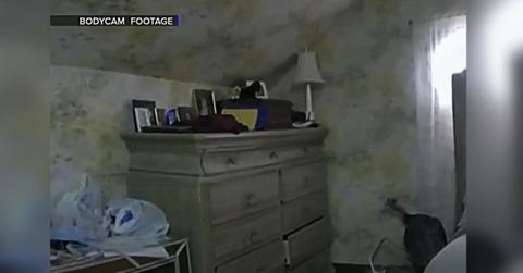 police respond intruder call find turkeypp