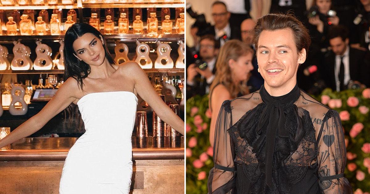 Kendall Jenner Dances At Ex Harry Styles' L.A. Concert