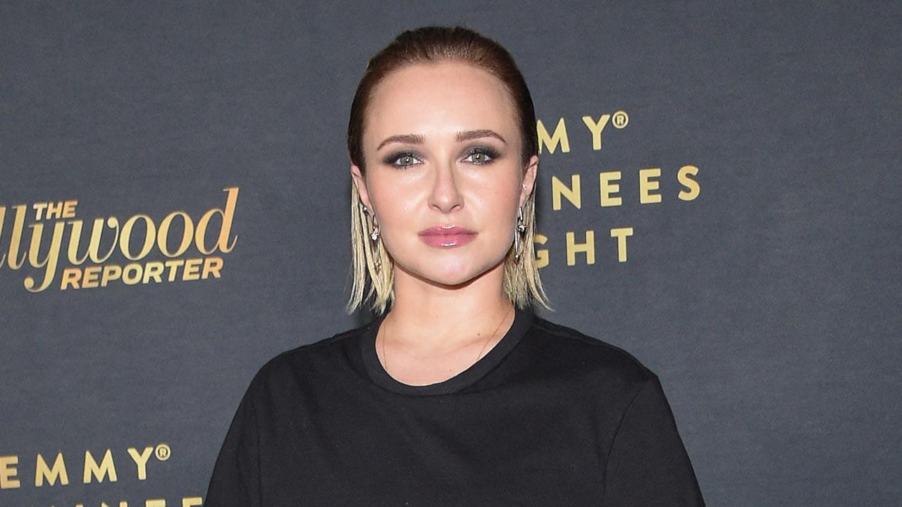 Photo of Wladimir Klitschko claimed that Hayden Panettiere hired a security service to protect her home before her death.