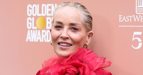 sharon stone rage plastic surgeon gave bigger implants