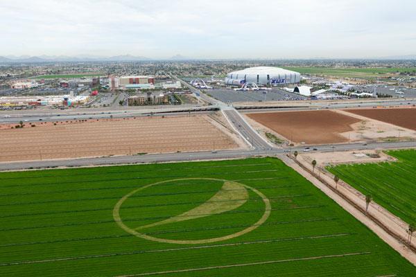 Crop_circle_pepsi