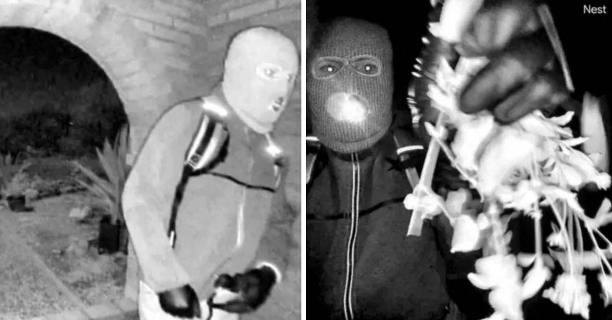 image of Authorities are using specialized detection technology.