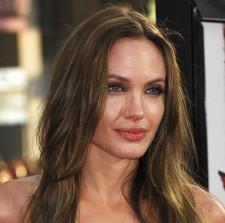 2010__01__angelinajolie2 225×223.jpg