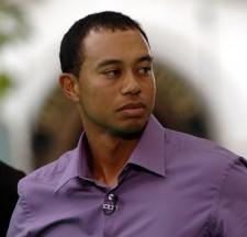 2009__12__tiger2 225×216.jpg