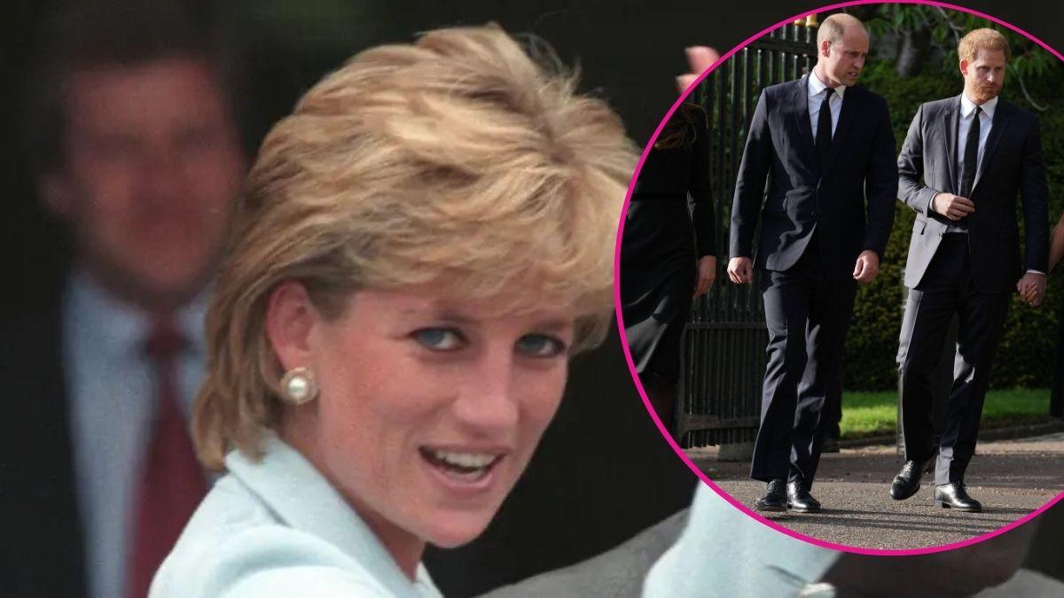 image of princess Diana and inset of prince harry and prince William