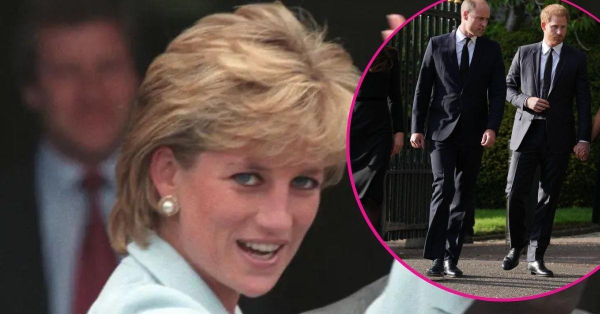 Princess Diana Realized ‘Shy’ Prince William Didn’t Want The Crown As She Prepared Prince Harry For The Throne