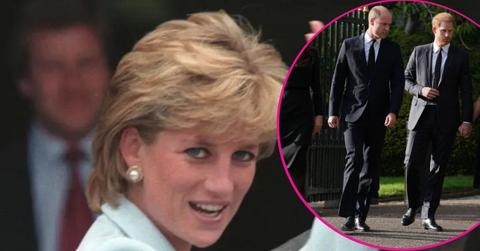 image of princess Diana and inset of prince harry and prince William