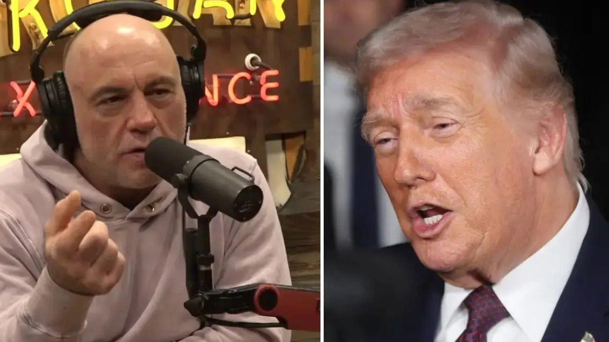 image split of trump and Joe rogan