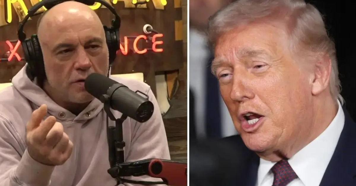 Joe Rogan and Donald Trump Shake Hands at UFC Fight After…