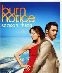 2010__05__okmagazine sweepstakes burnnoticedvd 211×300.jpg