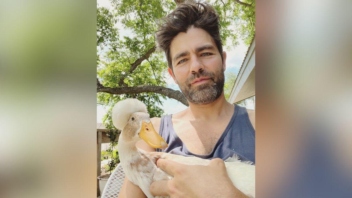 where is adrian grenier now all about his family life the devil wears prada  snub