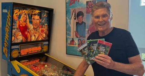 Photo of David Hasselhoff