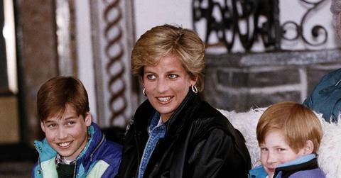princess diana wouldnt stand prince harry prince william feud