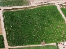 2009__09__taylorcorn 225×166.jpg