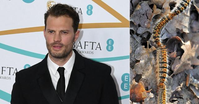 jamie dornan hospitalized heart attack symptoms poisonous caterpillars