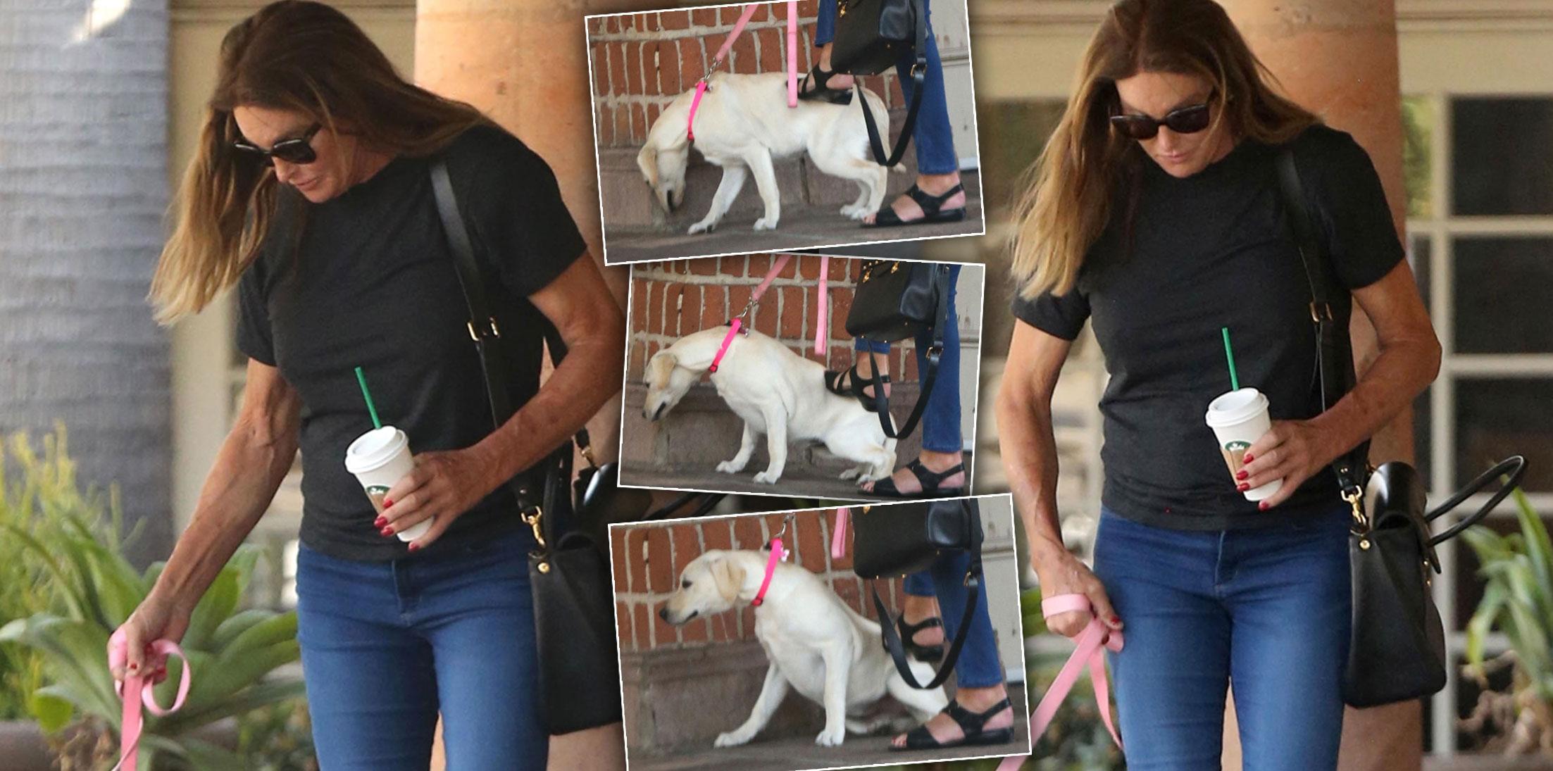 Caitlyn Jenner Kicks Dog