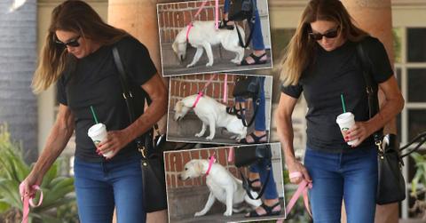 Caitlyn Jenner Kicks Dog