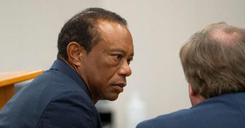 image of Tiger Woods