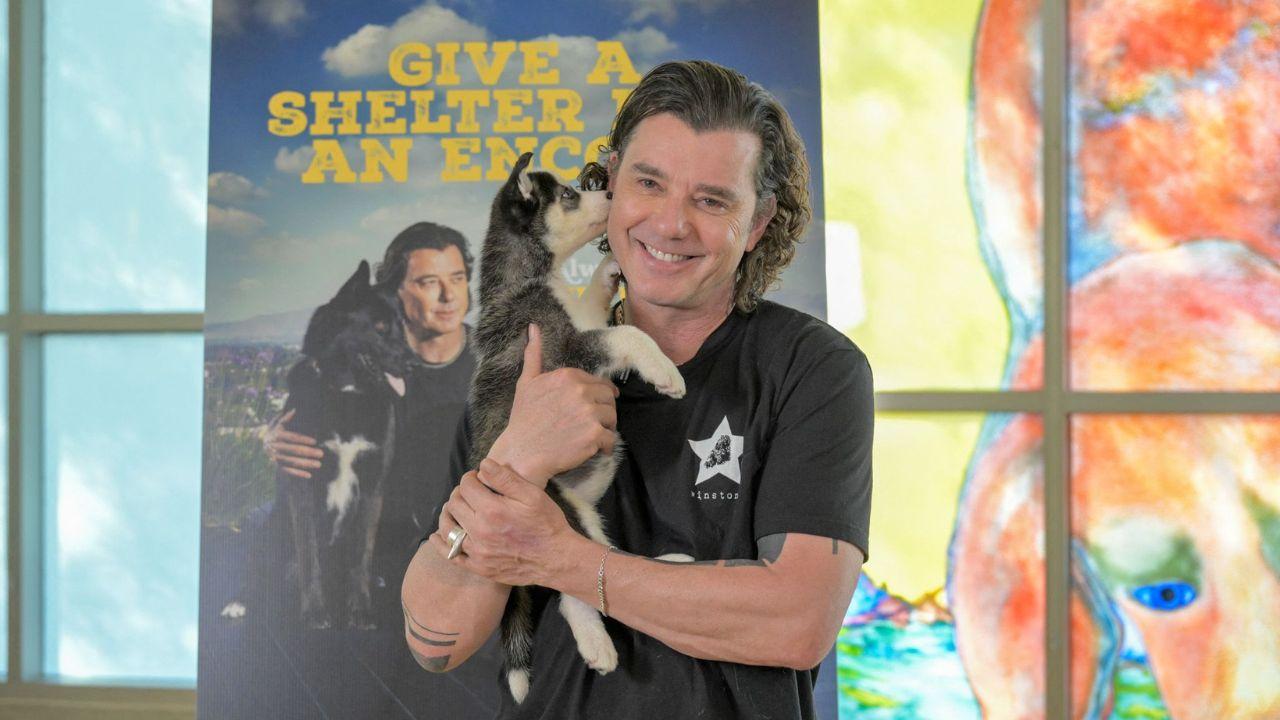 Photo of Gavin Rossdale