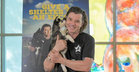 Photo of Gavin Rossdale