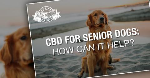 CBD pets