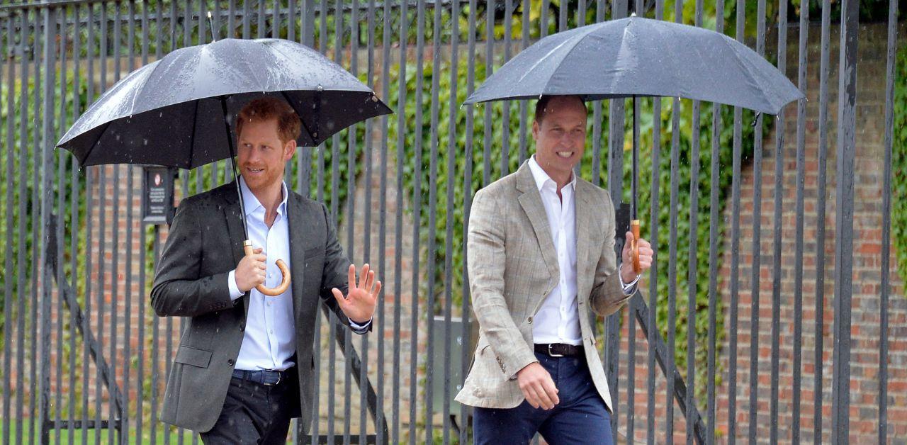 prince william shut door prince harry return royal duties king charles cancer