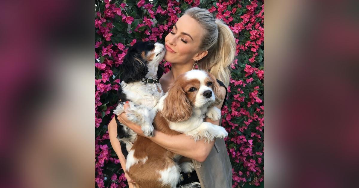 derek hough rallied behind sister julianne dogs unexpectedly died