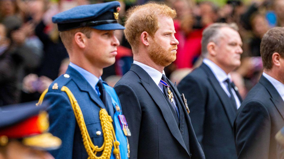 image of harry and William