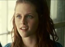 2009__12__kstew 225×164.jpg