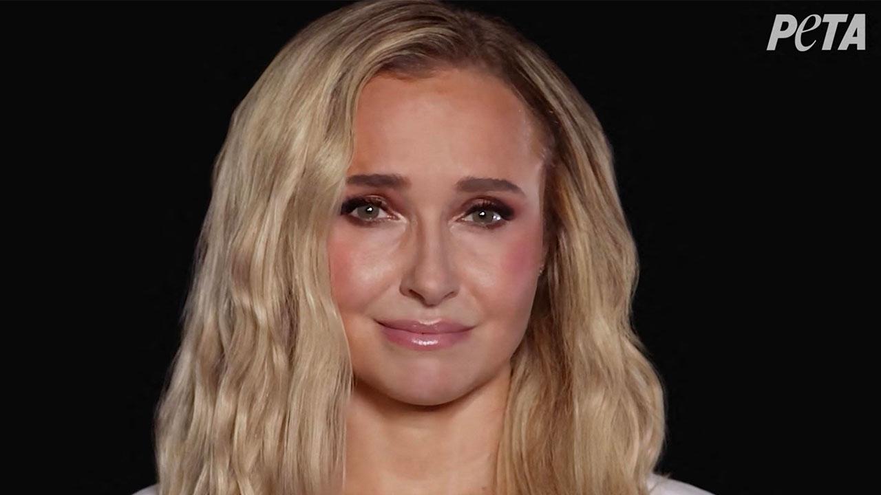 Hayden Panettiere