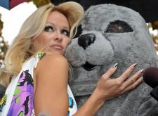 2009__10__p92305826_10 225×165.jpg