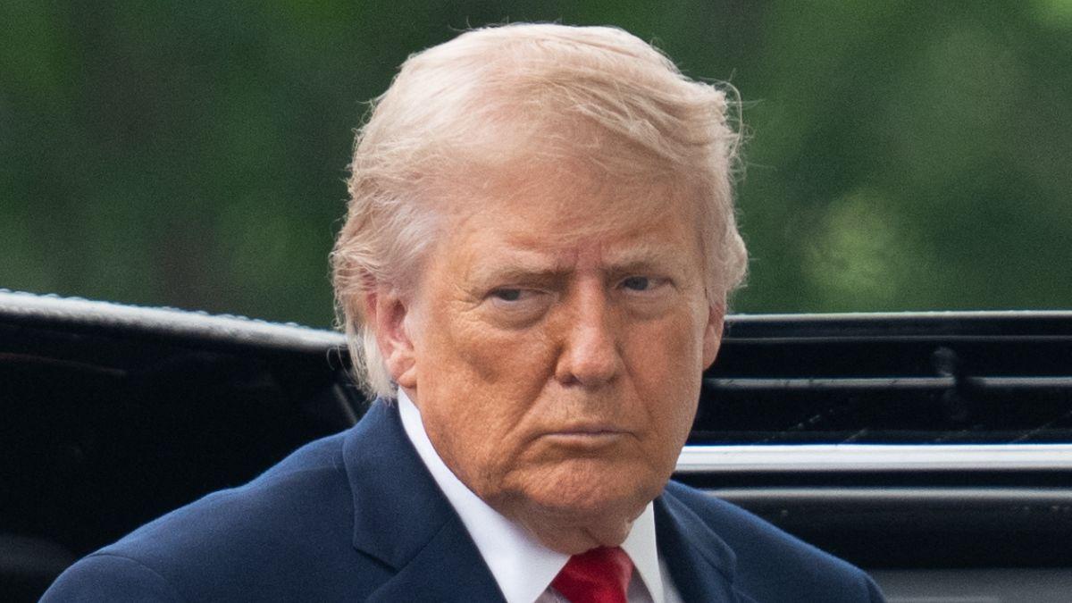 Image of Donald Trump said the aircraft 'may be the greatest commercial plane ever built.'