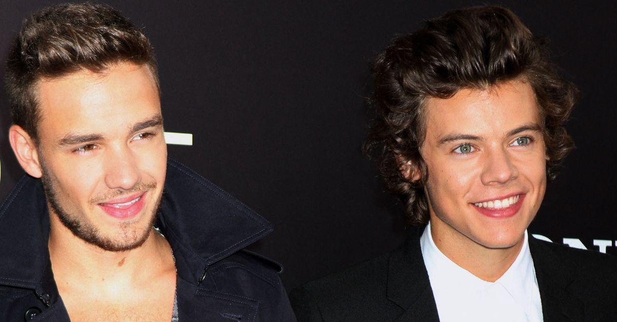 harry styles and liam paynes friendship