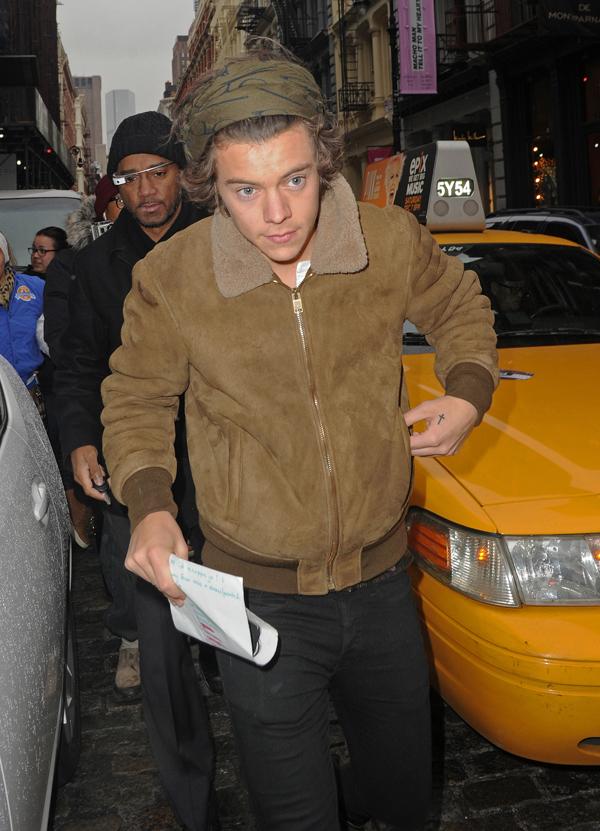 Harry Styles Gets Mobbed By Fans While Shopping In NYC