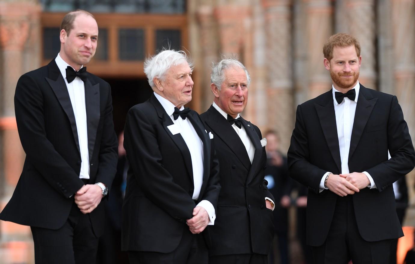 prince charles healing prince harry relationship