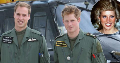 Princess Diana Sons William Harry Legacy Long