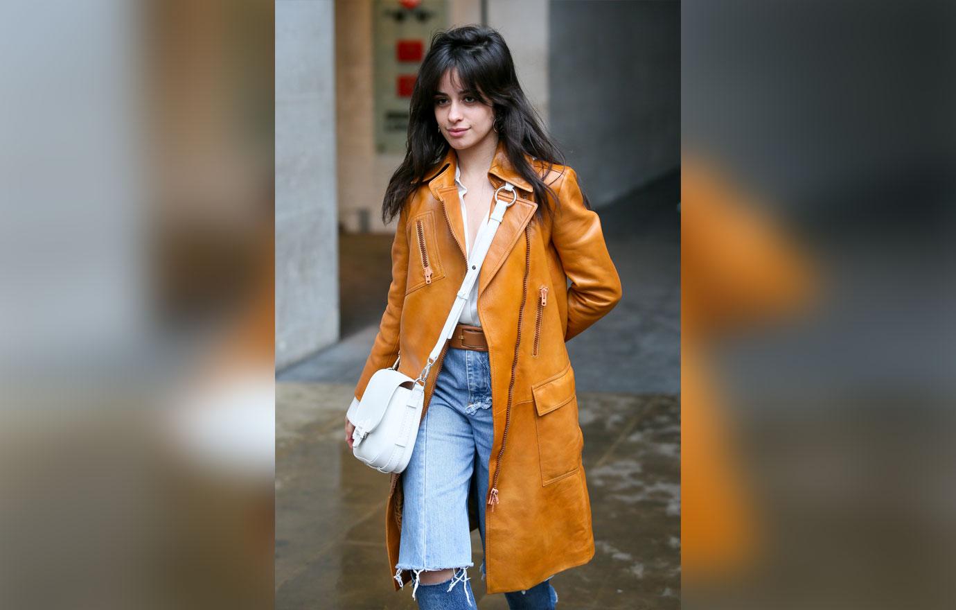 Camila cabello dehydration seattle performance canceled 5