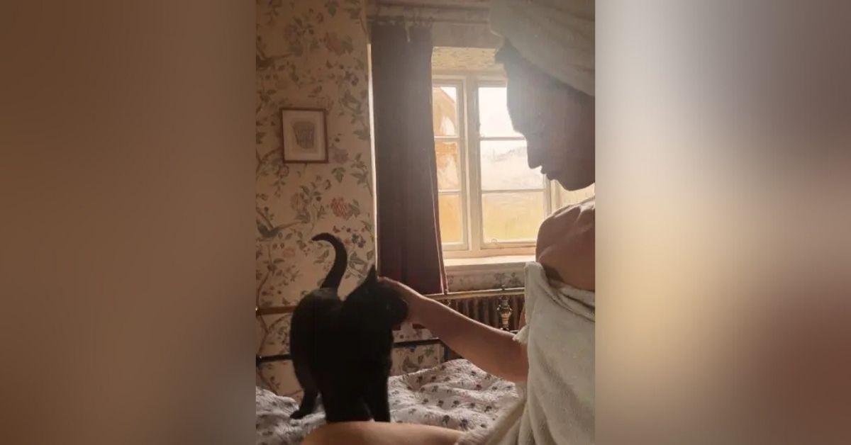 lily james steamiest moments photos