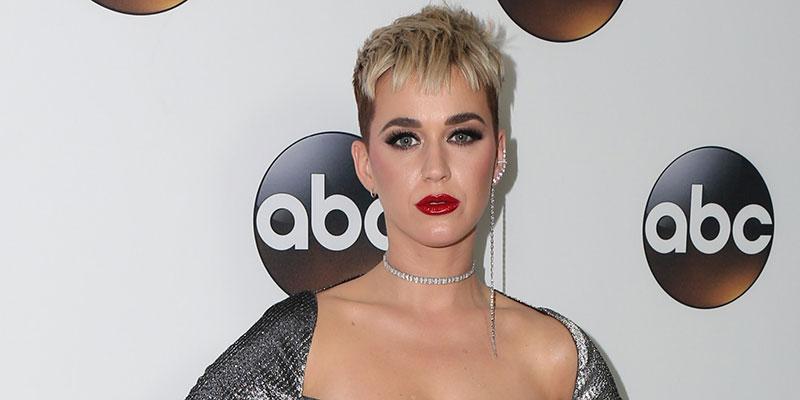 Katy perry exposes herself american idol main