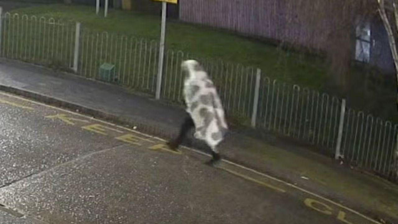 Image of Nathan Owens made his way to her student accommodation with a blanket covering his head and entered the building after Carla Georgescu let him in.