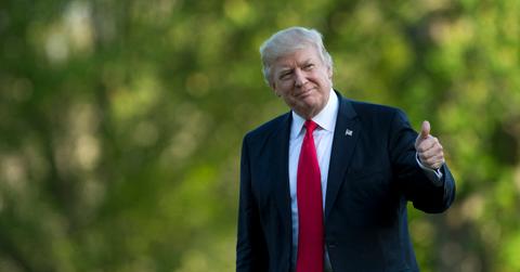 donald trump fights back home alone