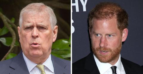 will prince andrew lose royal protection like prince harry what to know