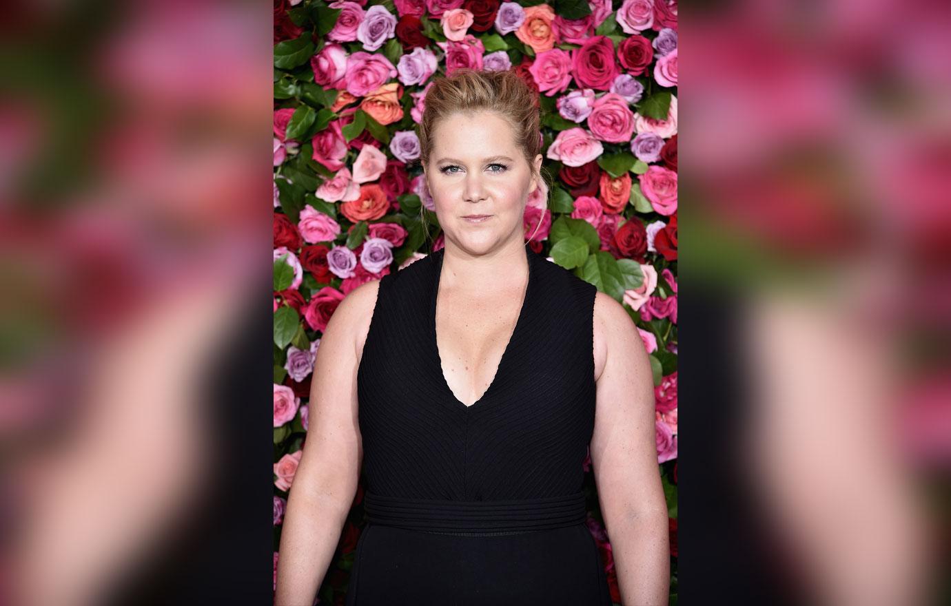 Pregnant Amy Schumer Cancels Rest Of Her Tour Due To Sickness