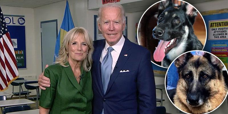 Joe Biden's Dogs Champ & Major Are Going To The White ...