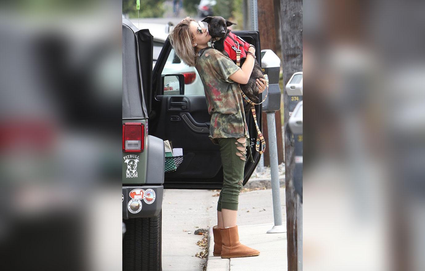 Paris Jackson Dog Vet Photos 04