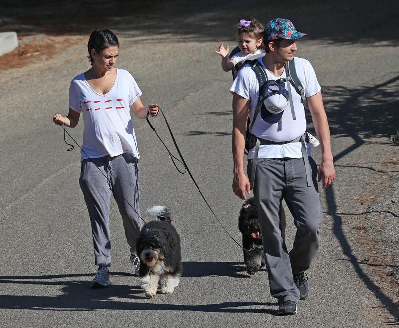 Exclusive&#8230; Pregnant Mila Kunis, Ashton Kutcher, &amp; Daughter Wyatt Out Walking Their Dogs